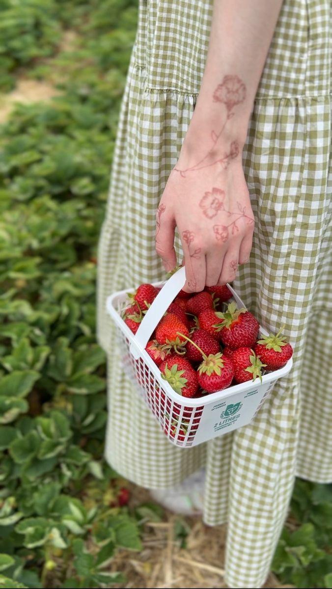 Berry Harvest Medley: Freshness in Every Basket